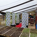 Wholesale Strawberry Hydroponic Growing Systems Agriculture Farm Soilless Strawberry Planting